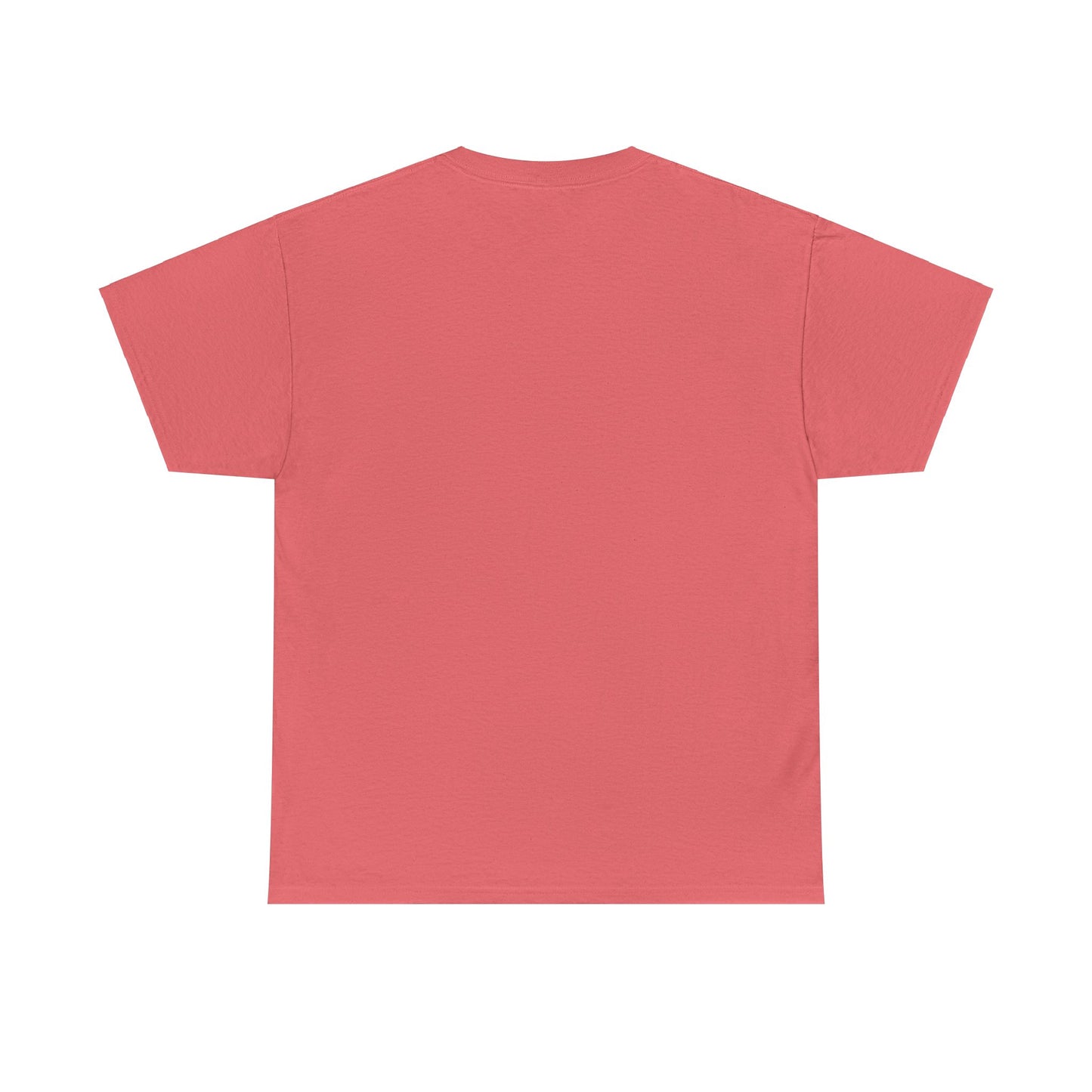 I Can Do All Things Unisex Heavy Cotton Tee