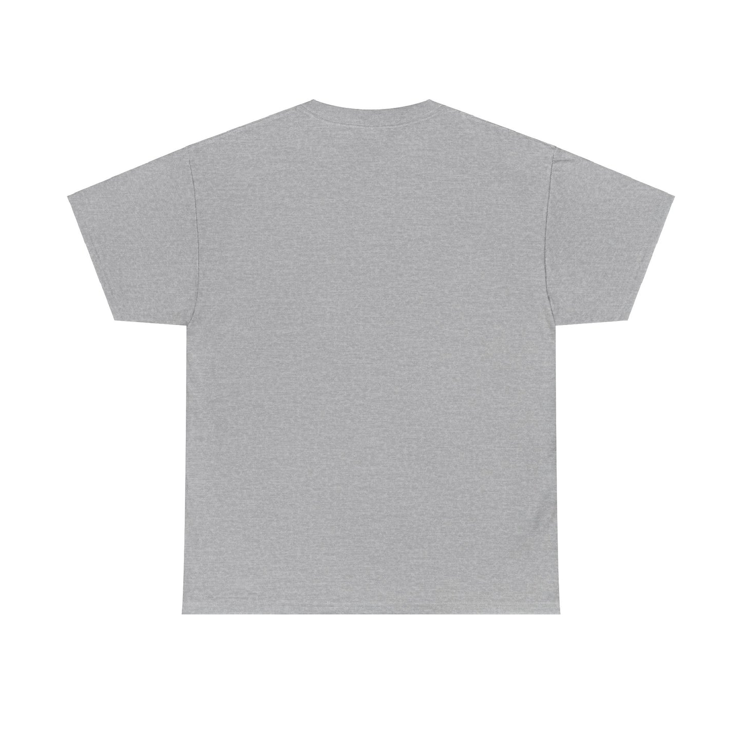 I Can Do All Things Unisex Heavy Cotton Tee