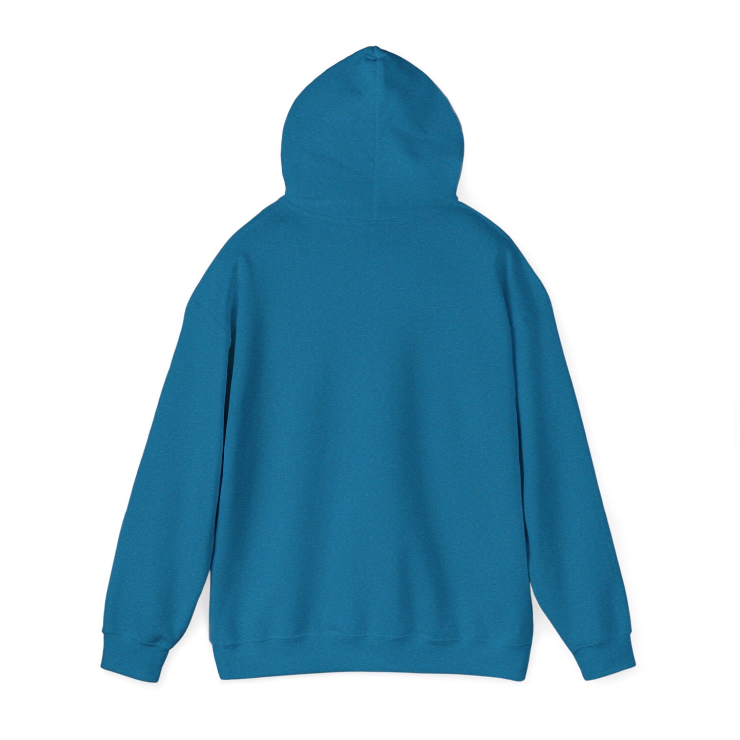 Jesus Hooded Sweatshirt