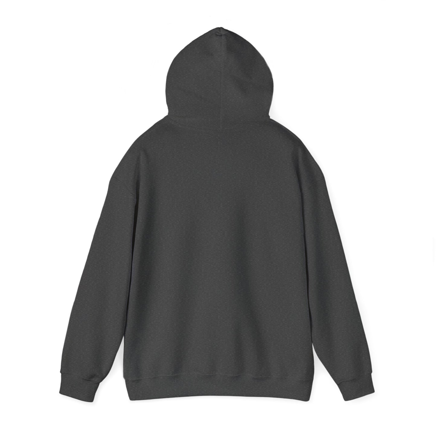 Jesus Hooded Sweatshirt