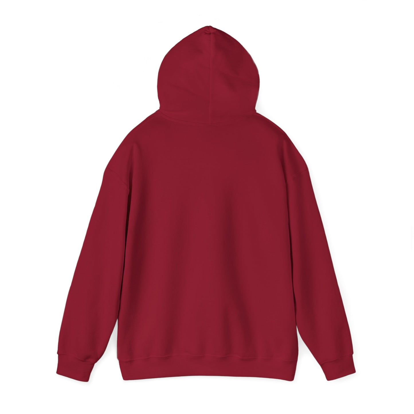 Jesus Hooded Sweatshirt
