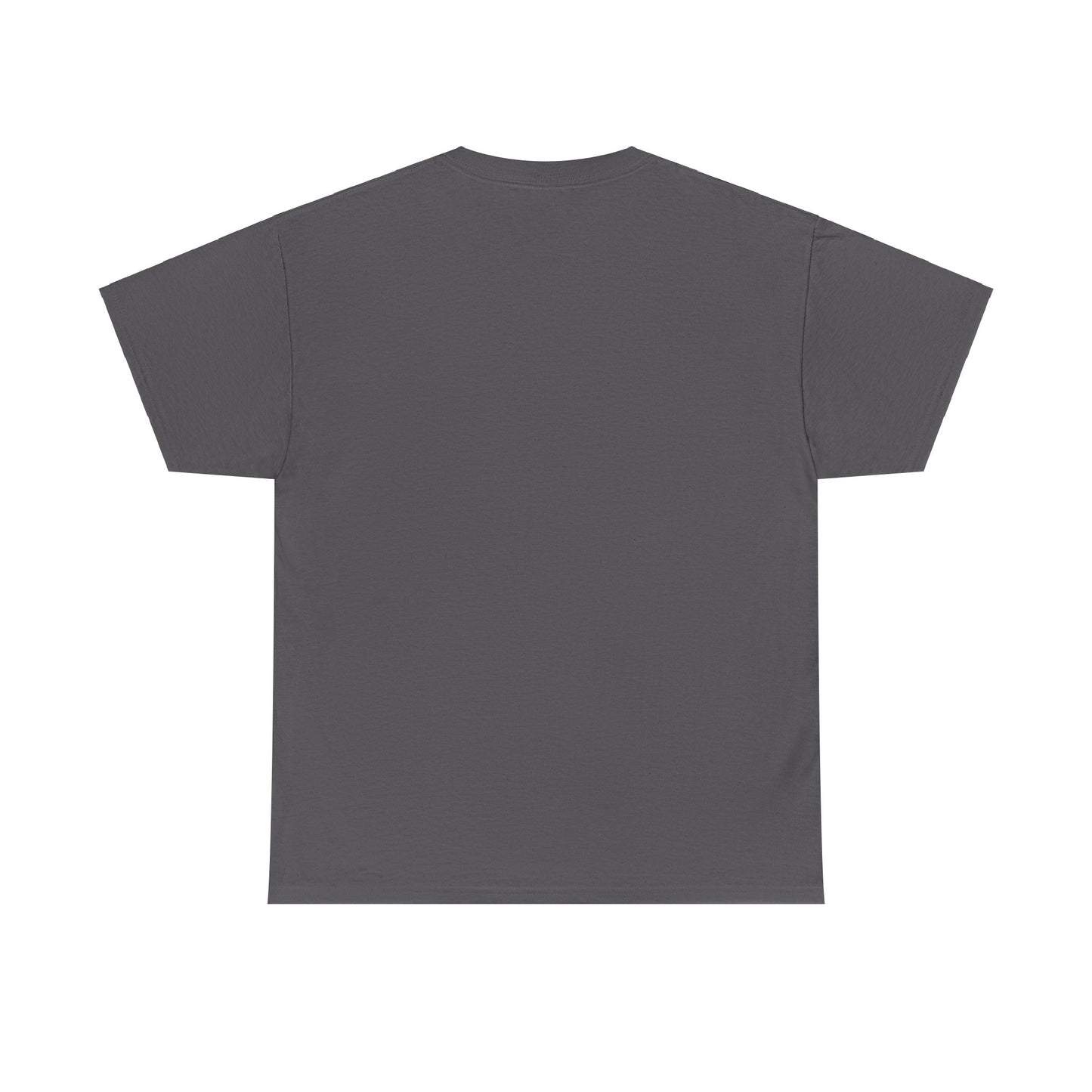 I Can Do All Things Unisex Heavy Cotton Tee
