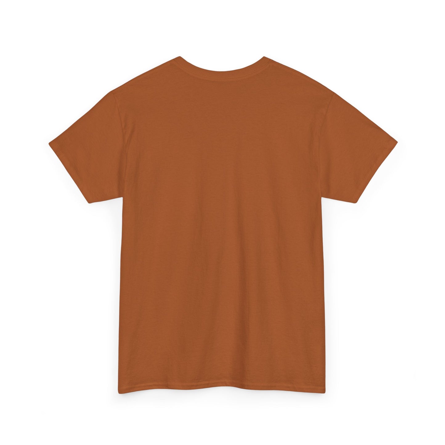 I Can Do All Things Unisex Heavy Cotton Tee