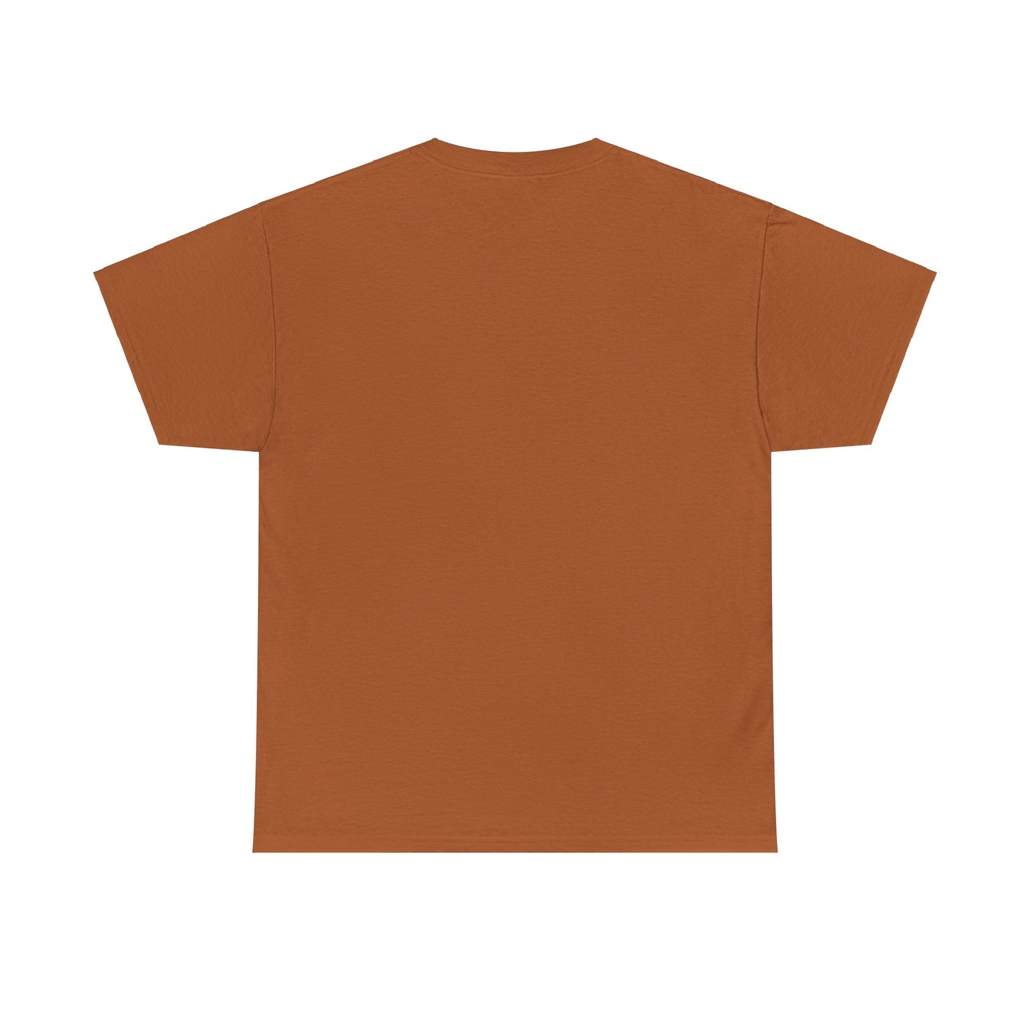 I Can Do All Things Unisex Heavy Cotton Tee