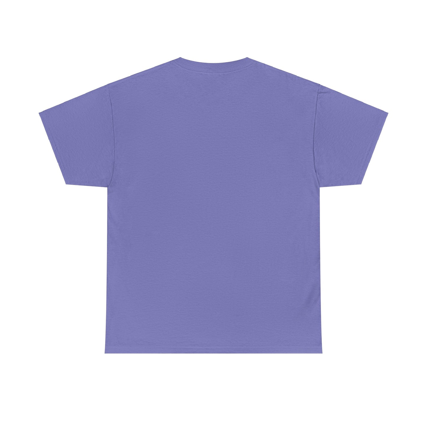 I Can Do All Things Unisex Heavy Cotton Tee