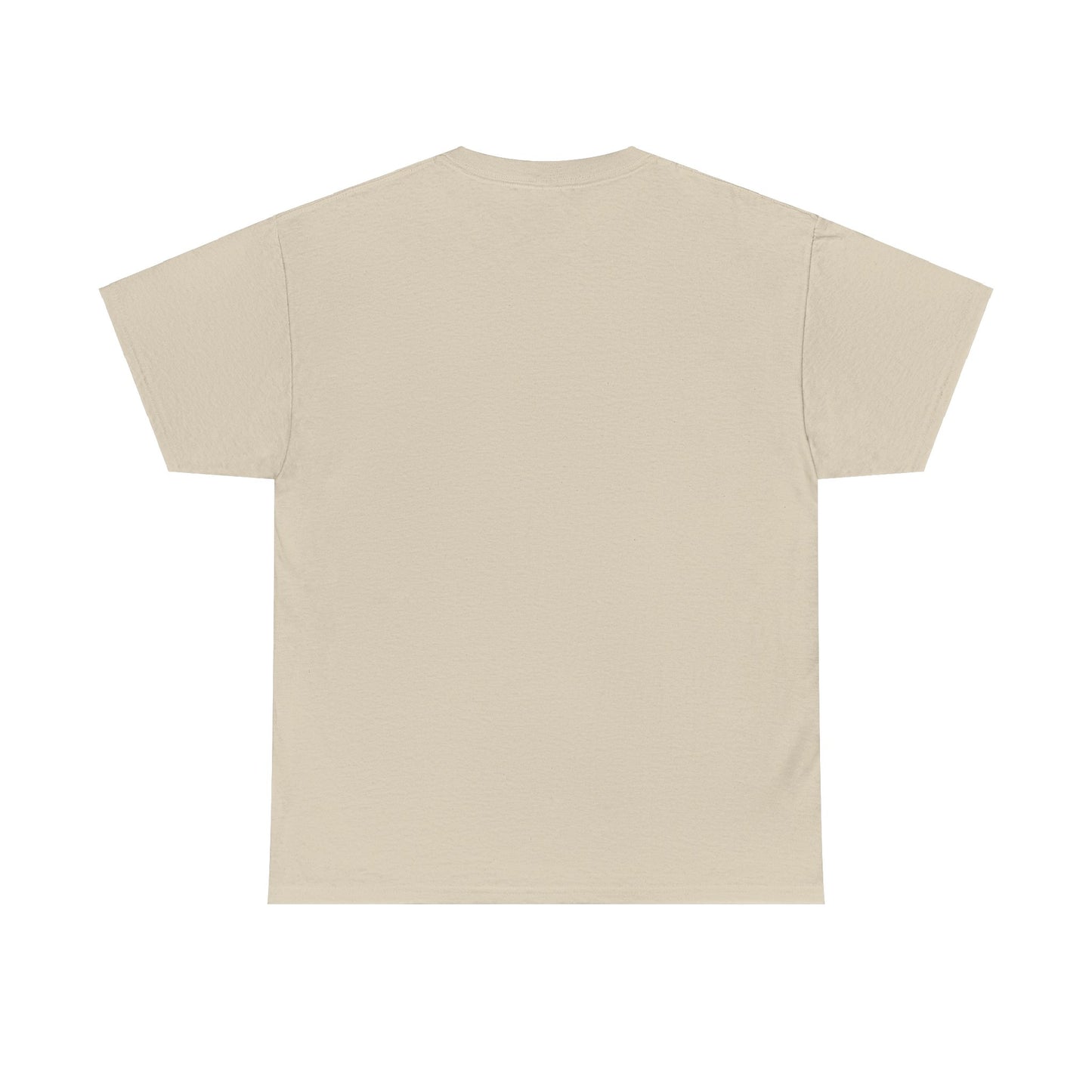 I Can Do All Things Unisex Heavy Cotton Tee