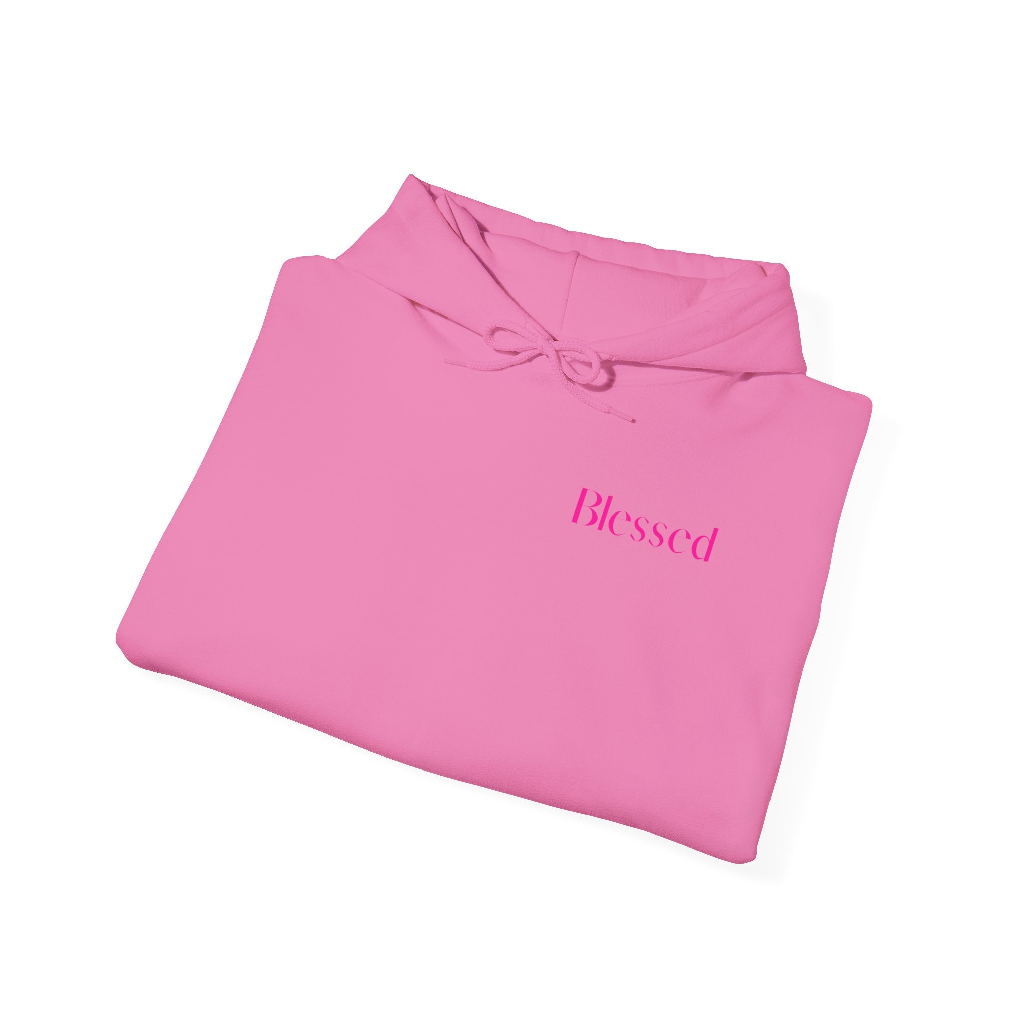 Blessed Hooded Sweatshirt