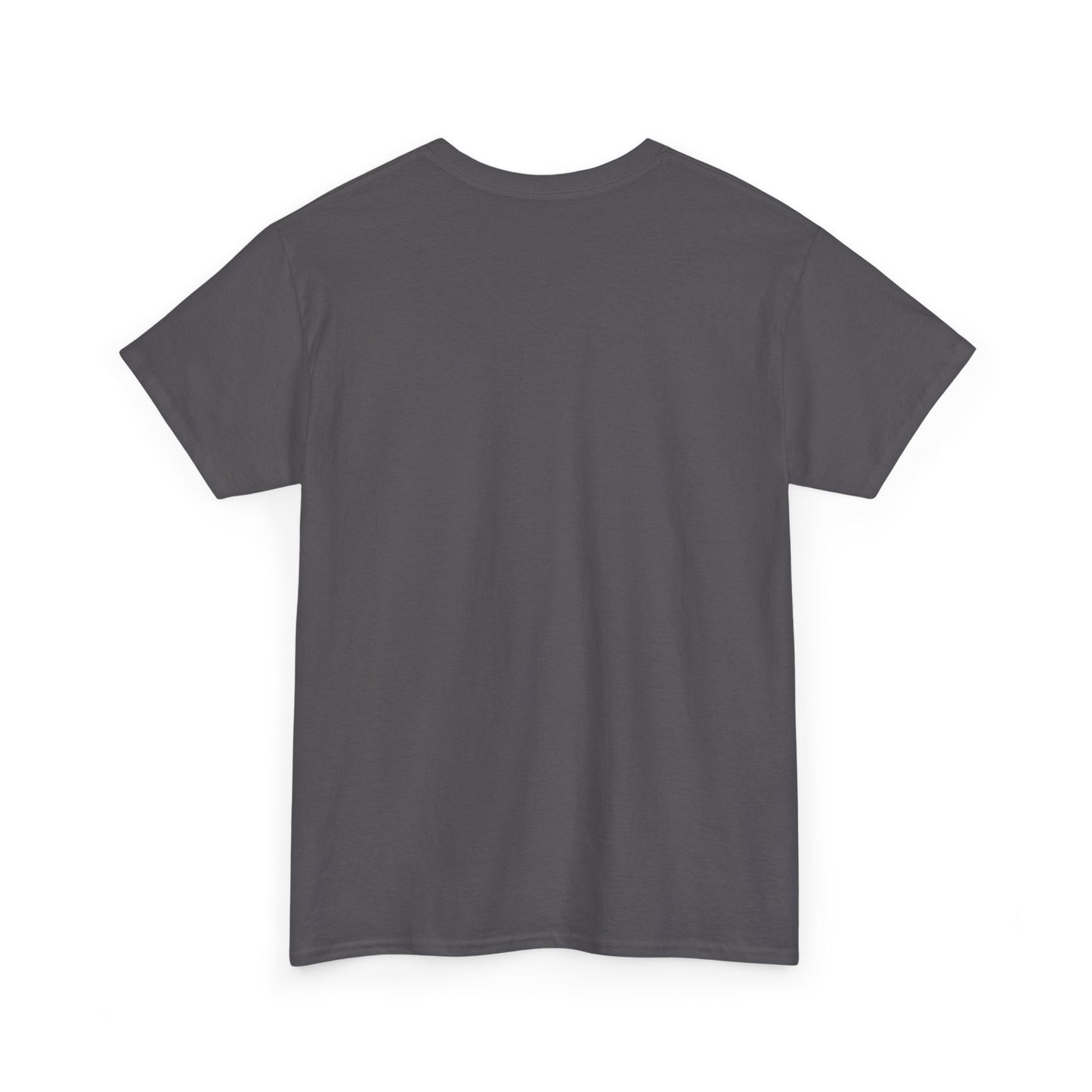 I Can Do All Things Unisex Heavy Cotton Tee