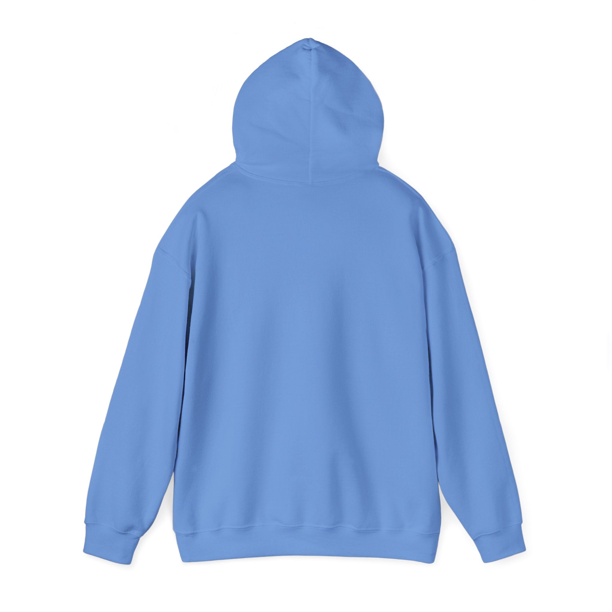 God’s Favorite Unisex Heavy Blend™ Hooded Sweatshirt