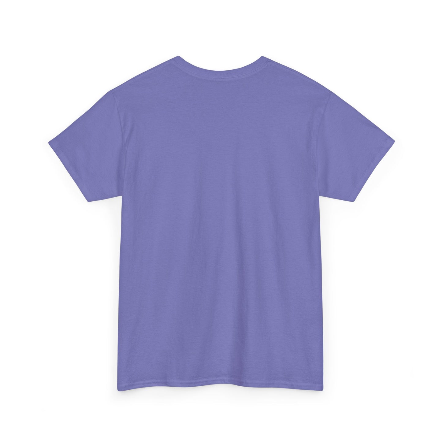 I Can Do All Things Unisex Heavy Cotton Tee