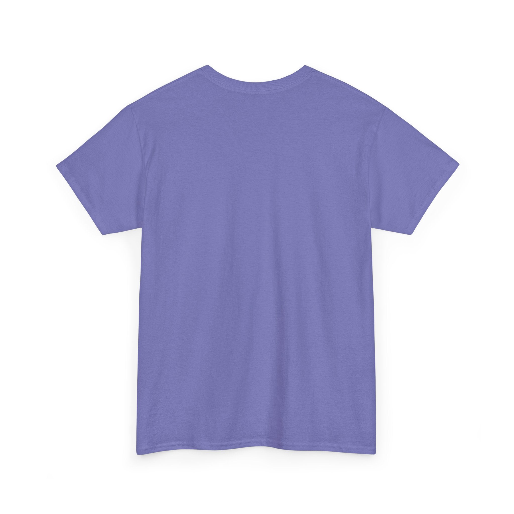 I Can Do All Things Unisex Heavy Cotton Tee