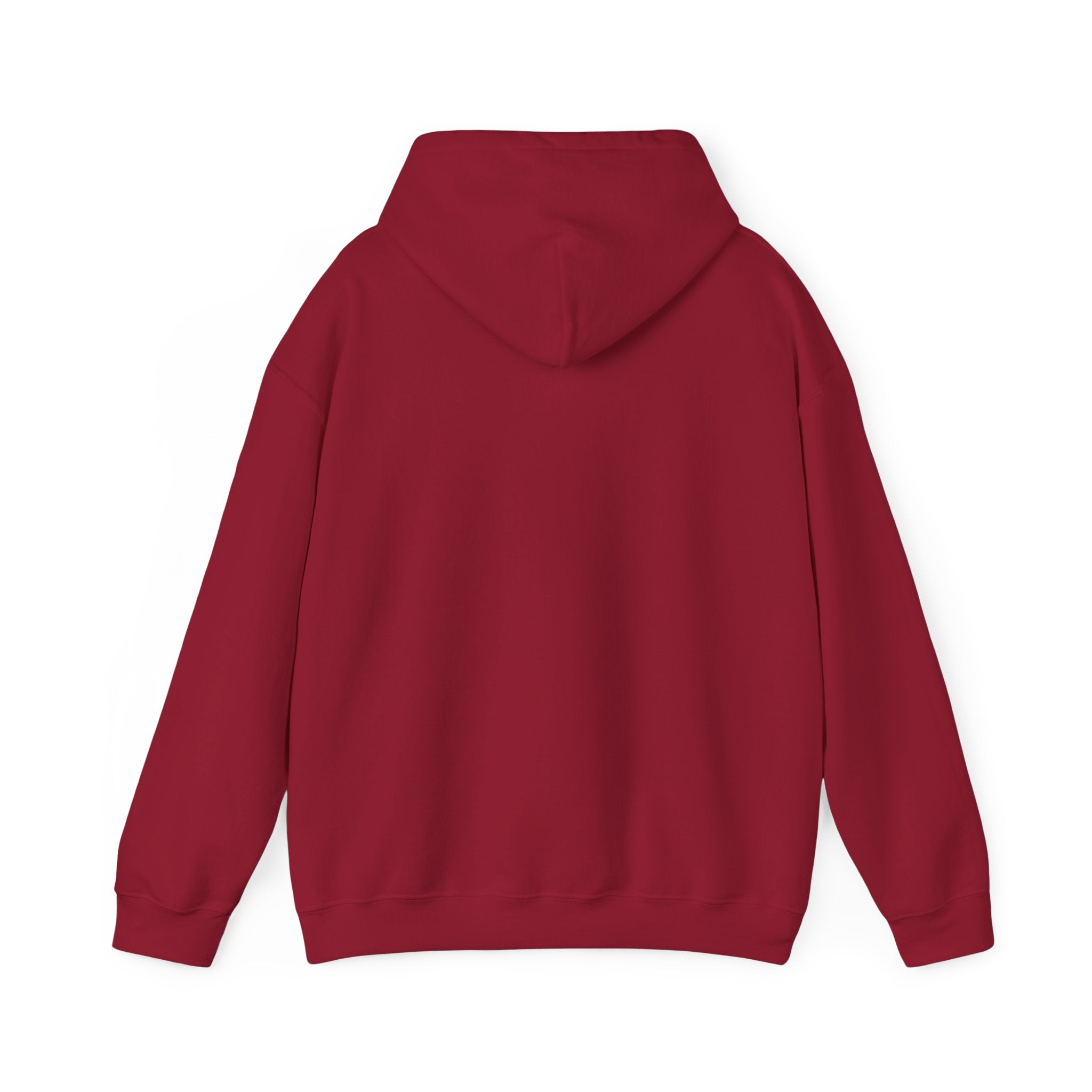 Jesus Hooded Sweatshirt