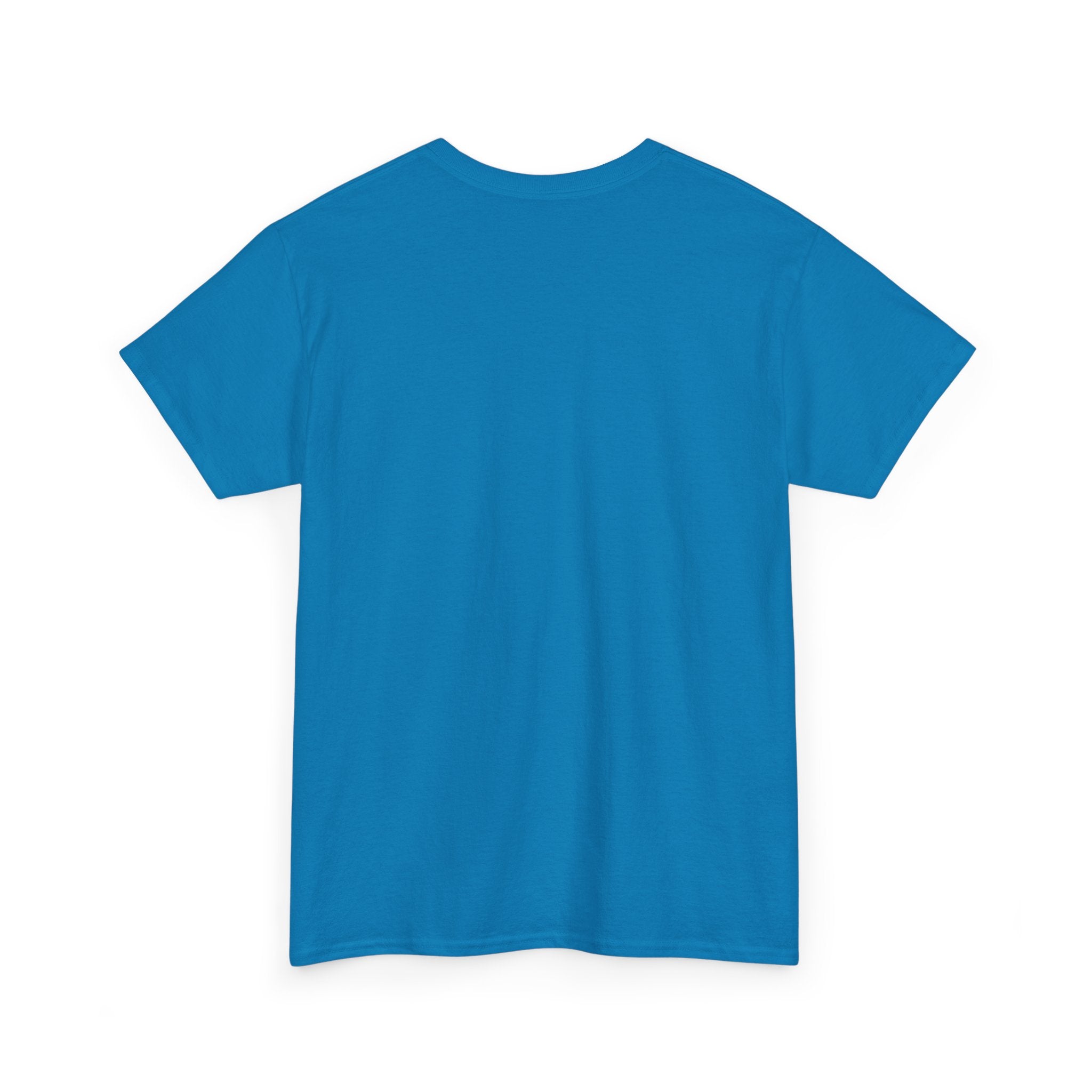 I Can Do All Things Unisex Heavy Cotton Tee