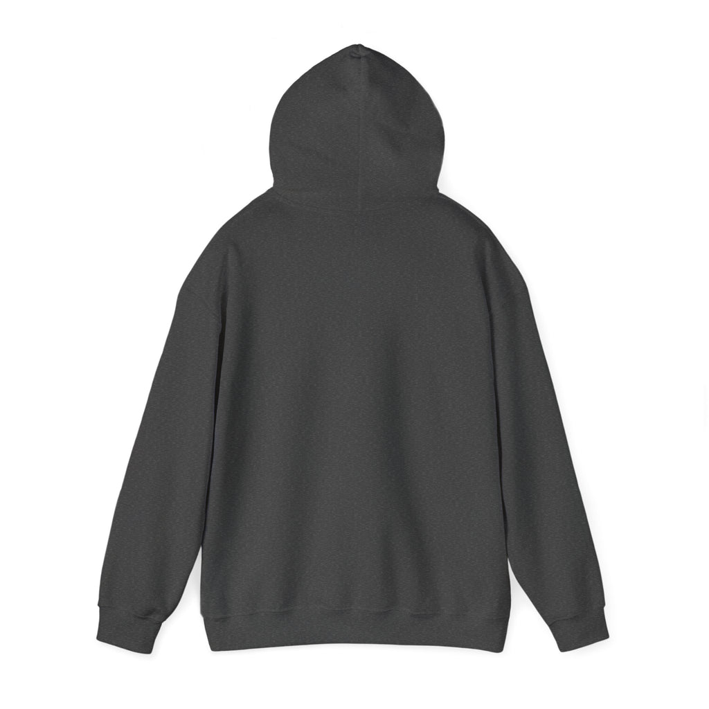 Jesus Hooded Sweatshirt