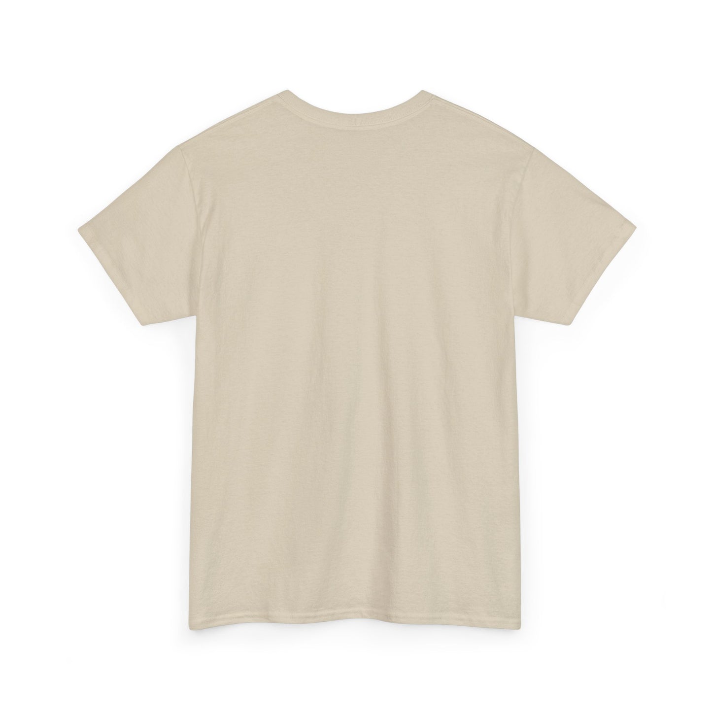 I Can Do All Things Unisex Heavy Cotton Tee