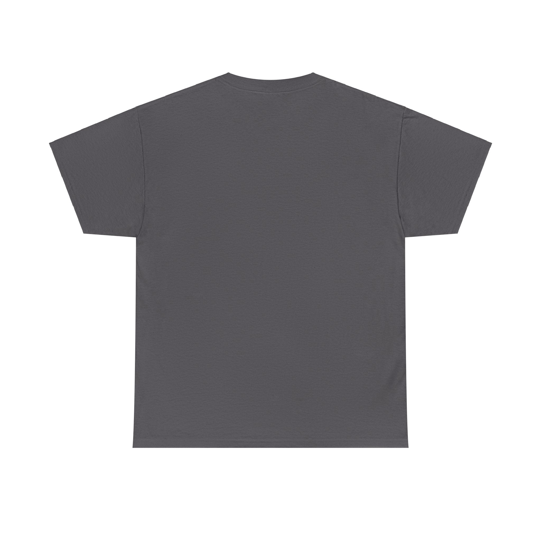 I Can Do All Things Unisex Heavy Cotton Tee