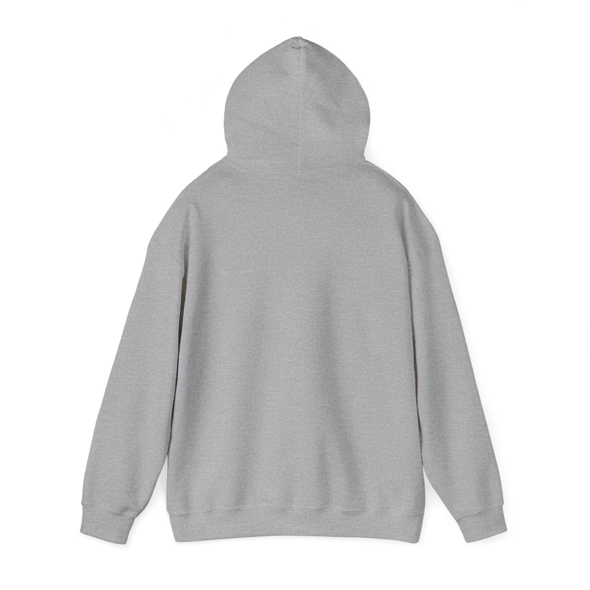 God’s Favorite Unisex Heavy Blend™ Hooded Sweatshirt