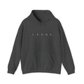 Jesus Hooded Sweatshirt