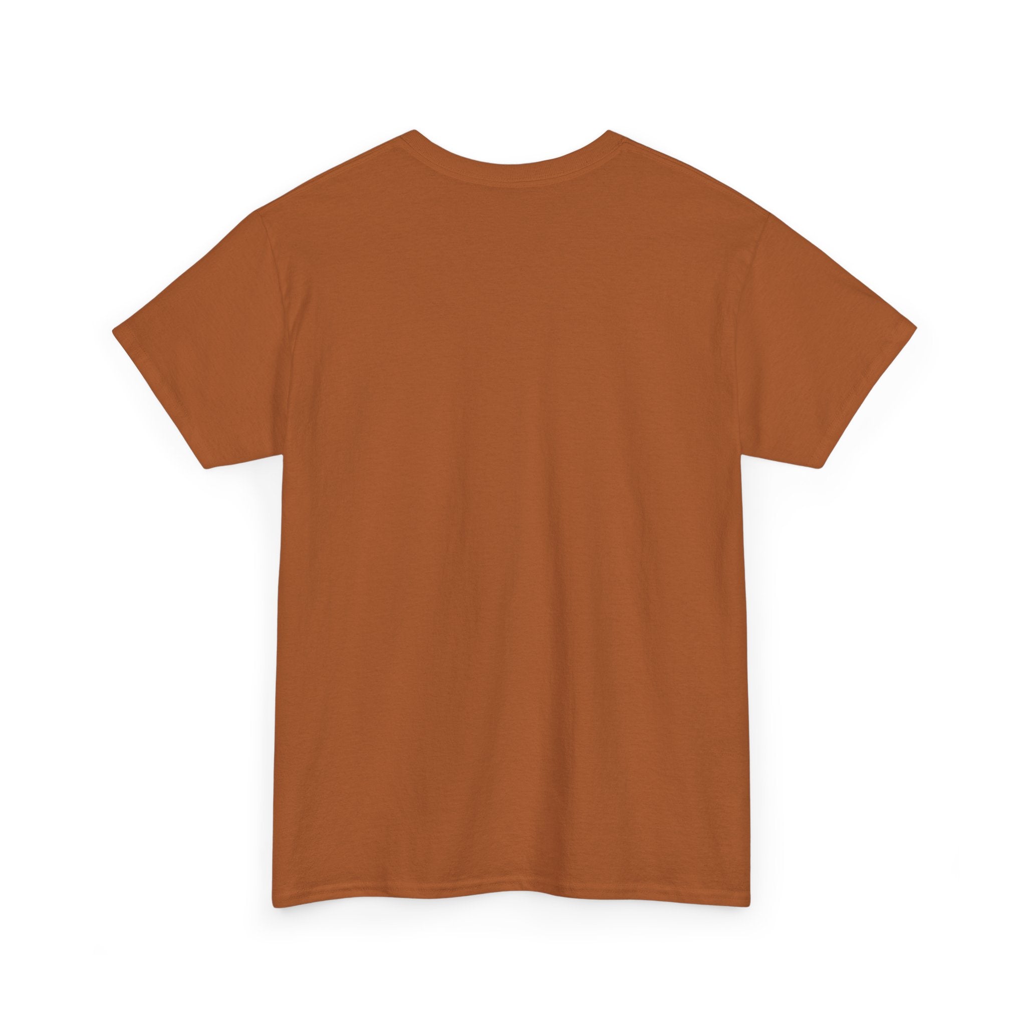 I Can Do All Things Unisex Heavy Cotton Tee