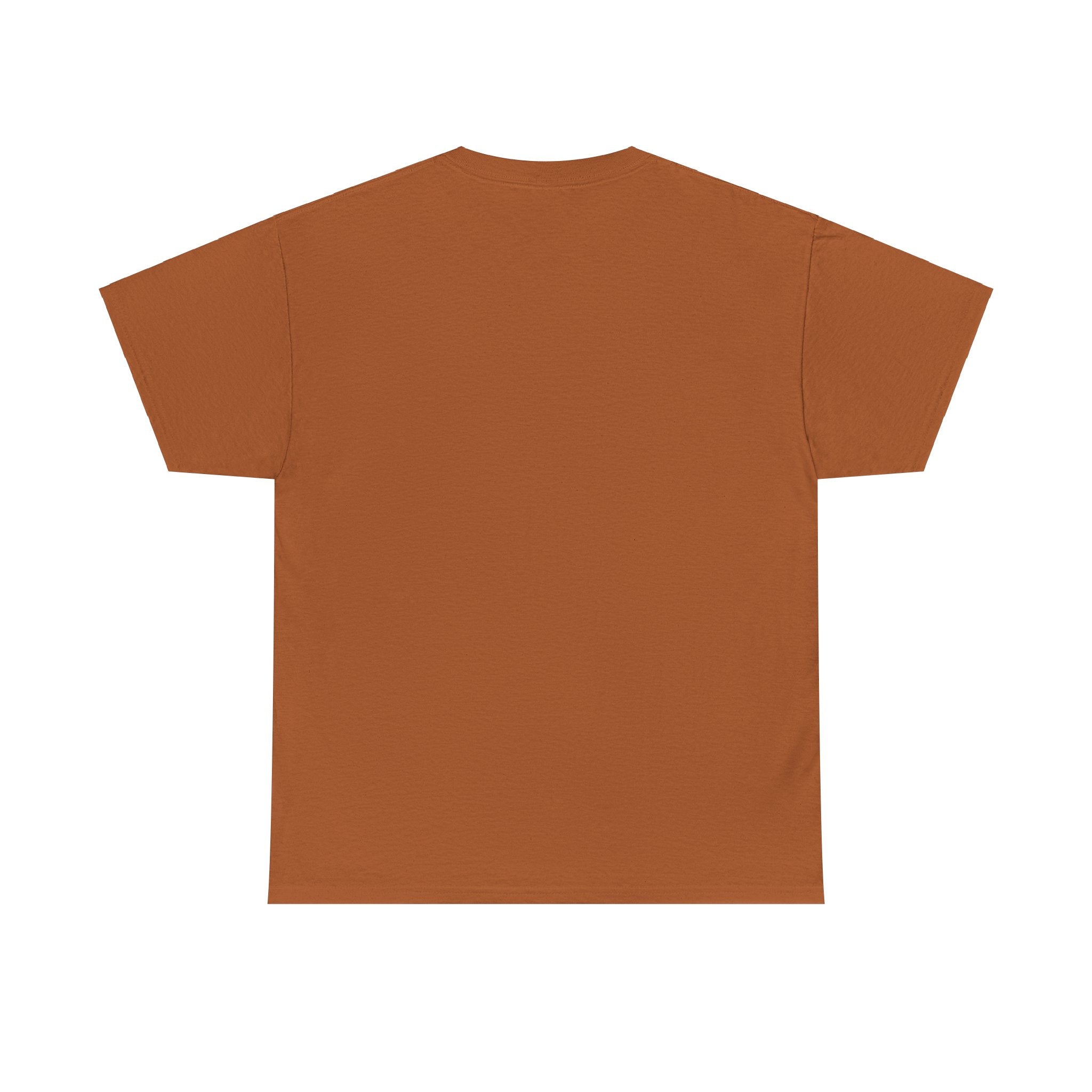 I Can Do All Things Unisex Heavy Cotton Tee