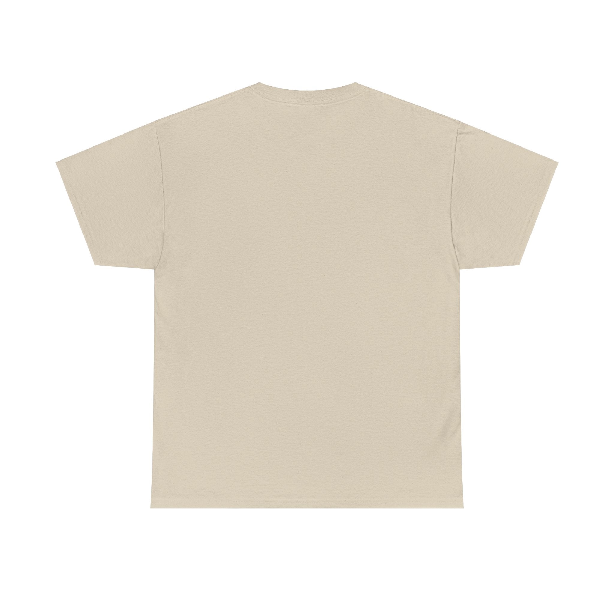 I Can Do All Things Unisex Heavy Cotton Tee