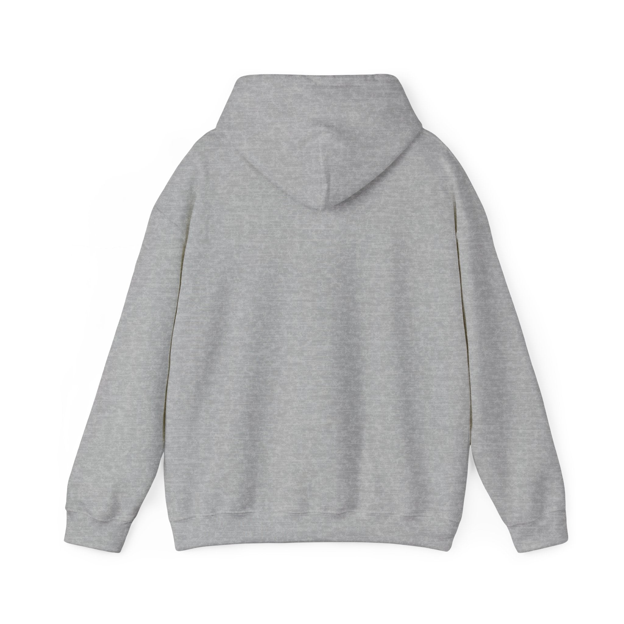 God’s Favorite Unisex Heavy Blend™ Hooded Sweatshirt