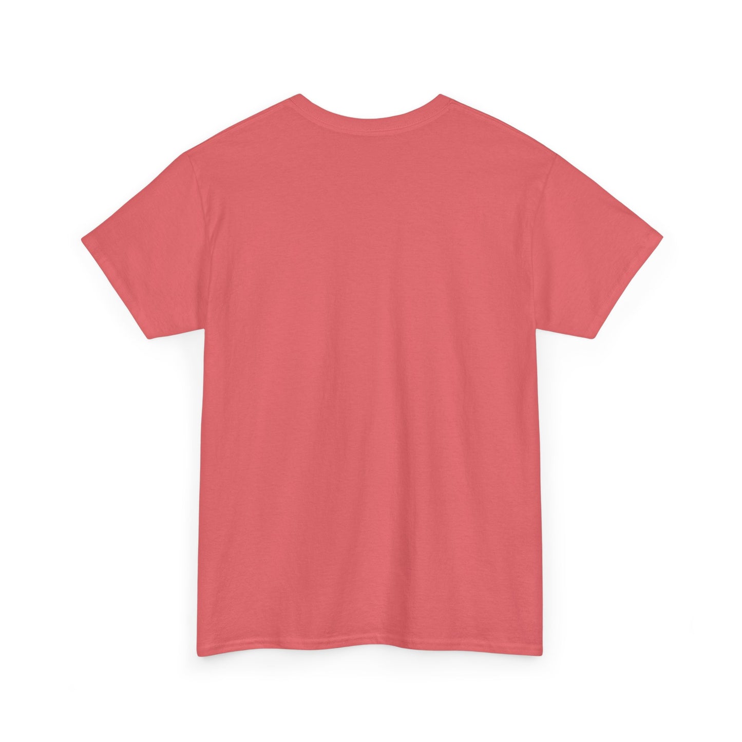 I Can Do All Things Unisex Heavy Cotton Tee