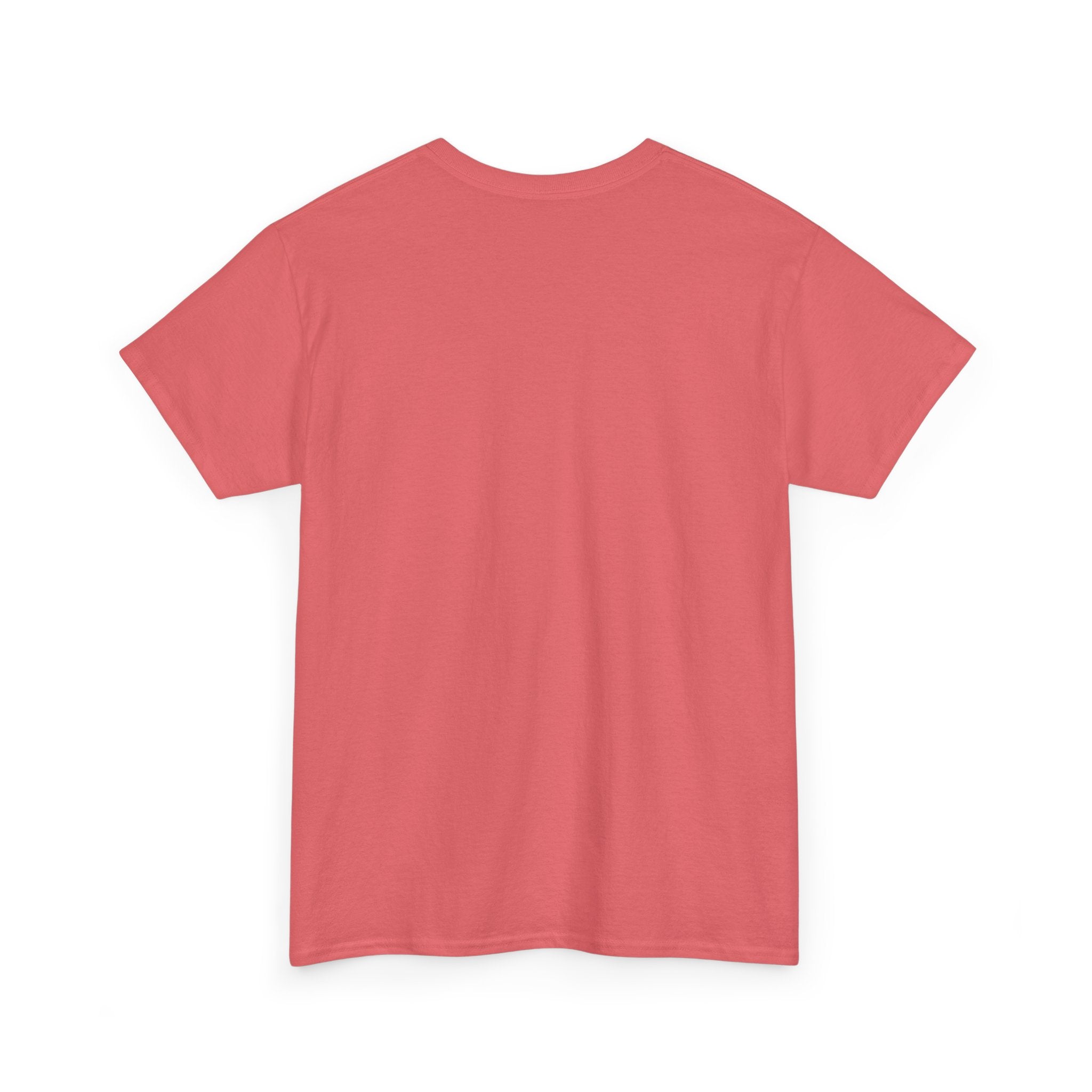I Can Do All Things Unisex Heavy Cotton Tee